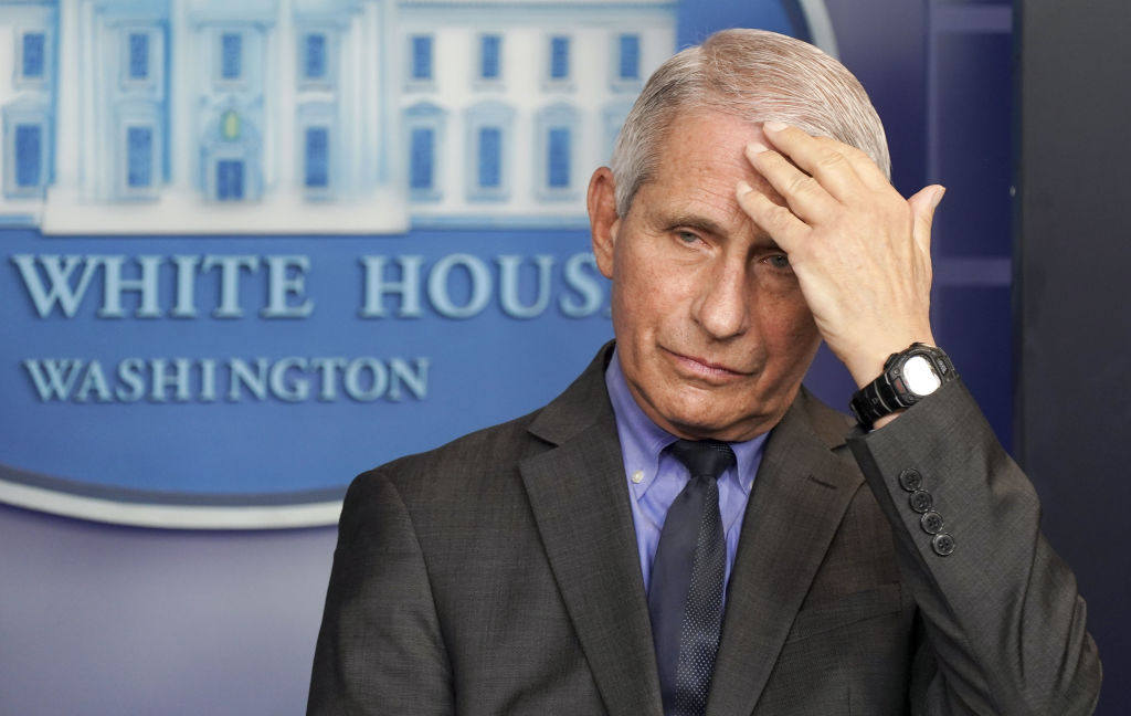 GOP Doctors In The House Want Dr. Fauci To Answer Questions About The Border Crisis 1