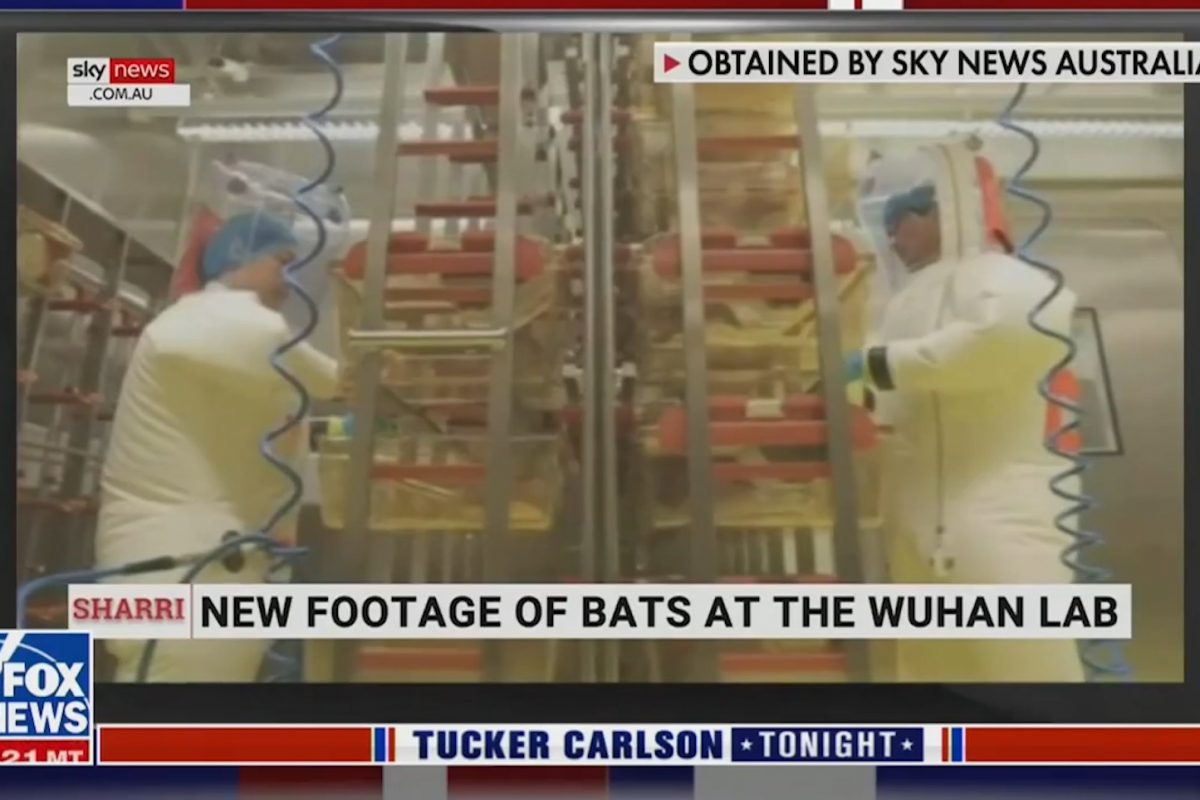 WATCH: New Footage Released Showing Alleged Activity Inside Wuhan Institute Of Virology 1