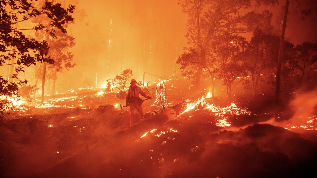 Couple Charged With Involuntary Manslaughter Over Wildfire Allegedly Started During Gender Reveal Party 1