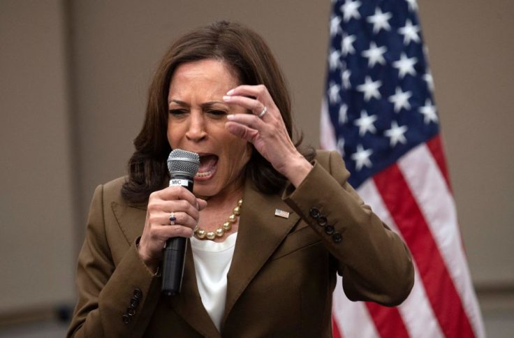 Dem Braintrust: Sexist Media Behind Animosity to Harris 1
