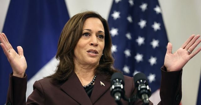 Kamala Harris Claims $1.75 Trillion Build Back Better 'Not Going to Cost Anything for the American Taxpayer' 1