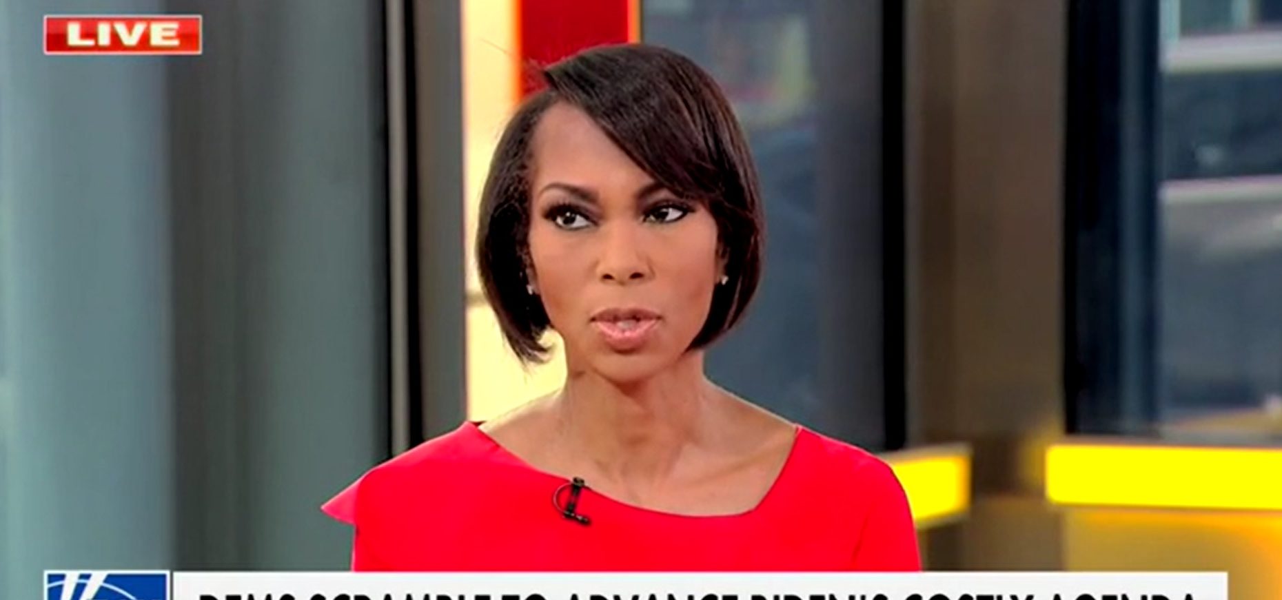 ‘Toxic Mix Of Desperation And Disrespect’: Harris Faulkner Torches Protesters Who Accosted Joe
