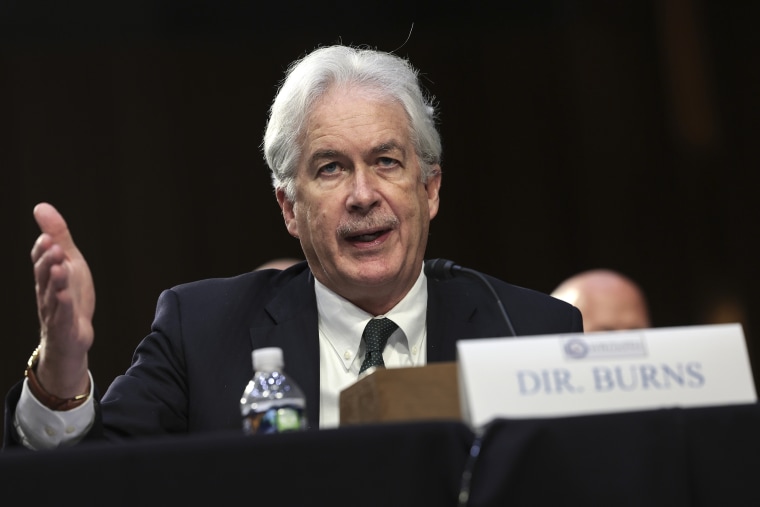 Officials Admit Biden Acting on Poor Intel on Russia-Ukraine 5 Image: CIA Director William Burns, Senate Intelligence Hearing Examines Worldwide Threats