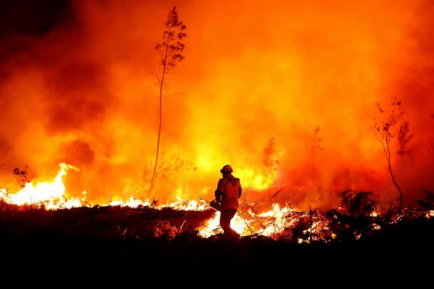 PHOTO: A firefighter creates a tactical fire in Louchats, France, as wildfires continue to spread in the Gironde region, on July 17, 2022. (Sarah Meyssonnier/Reuters)