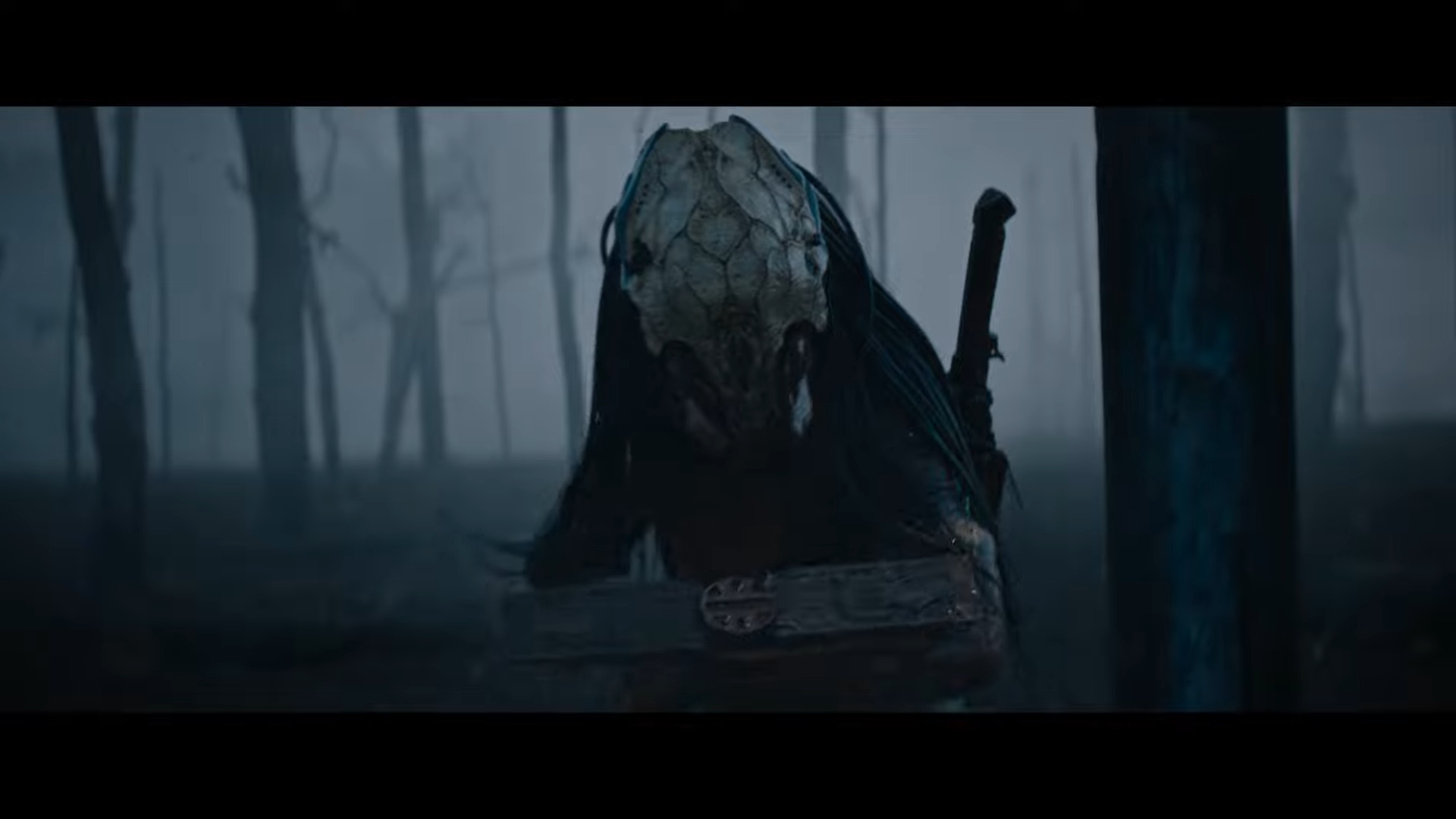 Prey (2022) Review – A Mediocre Predator Film Playing Up Representation And Female Empowerment 9