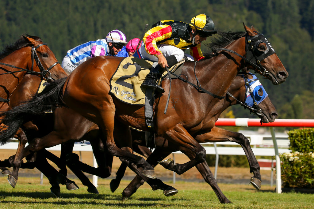 Jockey Dead At 28 After Horrific Horse Racing Accident Conservative News Daily™